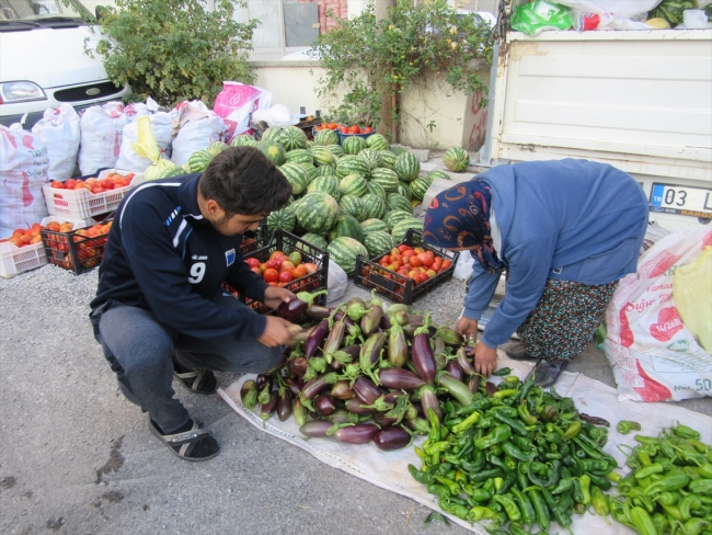 Afyonkarahisar'da asırlık tohumla patlıcan üretimi yapılıyor